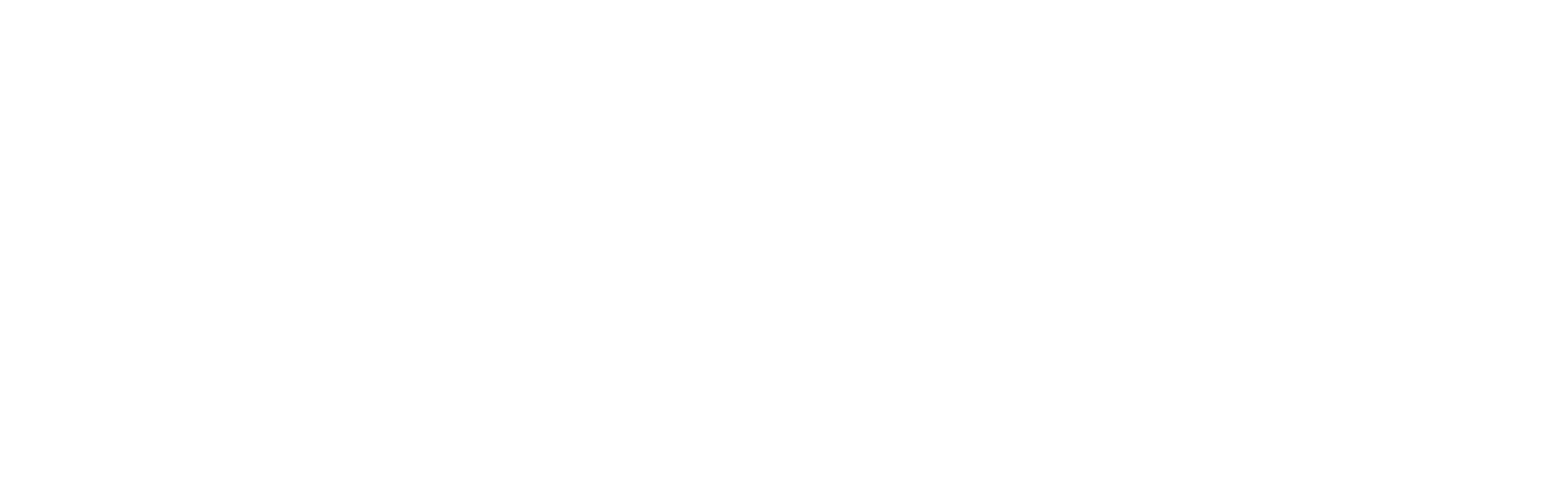 Payslip Checker